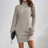 Turtleneck Slim Mini Dress