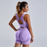 2pcs Yoga Set Women's Vest And Shorts Tracksuit Seamless-Purple-6