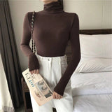 All-matching Solid Color Turtleneck Bottoming Shirt Women's-Brown-1