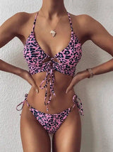 Wild & Chic: Leopard Print Split Swimsuit for Women-LeopardPink-20