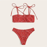 Women's two-piece bikini-2